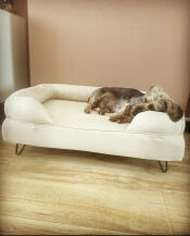 Ein hund, der auf einem weißen hundebett schläft