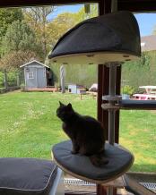 Mimie hat ihn bereits adoptiert