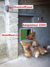Adapter mit einem Autodoor und vielen hühnern