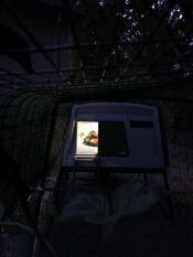 Hühner in einem Cube stall, der nachts beleuchtet ist
