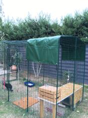 Omlet katio im garten