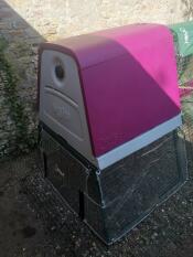 Ein lila Eglu Go up hühnerstall im garten