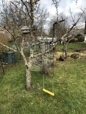 Eine hühnerschaukel, die an einem baum in einem garten hängt