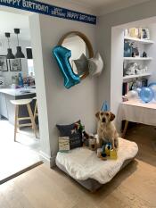 Ein hund, umgeben von geburtstagsgeschenken, auf seinem neuen grauen bett