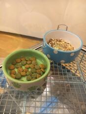 Rennmausfutter