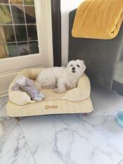 Yuki und ihr kuscheltier genießen ihr neues bett.