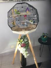 Ein grüner vogel in seinem runden käfig auf einem ständer