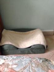Omlet memory foam nackenrolle und weiche decke