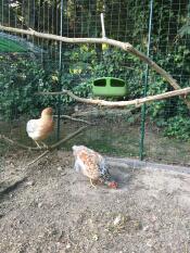 Aufhängung erhöht