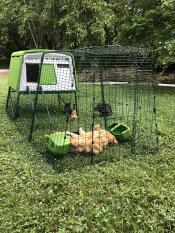 Ein großer grüner Eglu Cube hühnerstall mit einem auslauf und vielen braunen hühnern darin