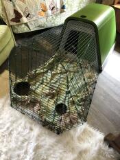 Einen Eglu Go stall für meerschweinchen, der innen eingerichtet ist.