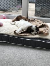 Ich liebe mein neues bett!
