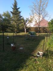Ein Go hühnerstall hinter einem hühnergehege mit zwei hühnern in einem garten