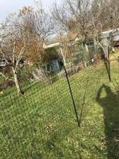 Garten mit hühnergehege im garten