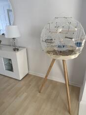 Ein toller käfig, gucci, mein kanarienvogel liebt ihn!