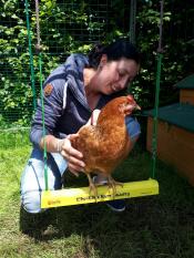 Huhn Josefa testet die Hühnerschaukel