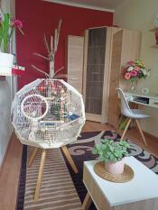 Omlet Geo vogelkäfig mit weißem käfig, cremefarbenem sockel und kleinen beinen im wohnzimmer