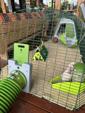 Willkommen hase