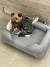 Ein kleiner hund, der seine decke und sein bett genießt