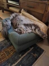 Das bequemste Sofa so wie es aussieht ????