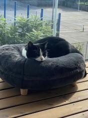 Eine katze, die gemütlich in ihrem grauen, donutförmigen bett ruht