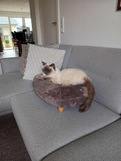 Nora hat einen neuen lieblingsspot....