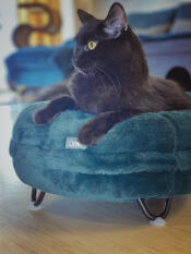 Jeremiah beandip liebt das Maya donut-bett!