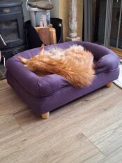 Eine katze, die im lila nackenrollen-katzenbett schläft.