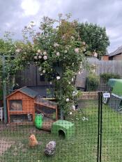 Einen hühnerzaun um einen ganzen garten