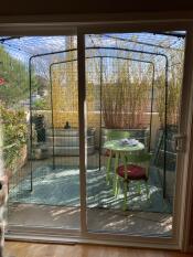 Catio in der san francisco bay area