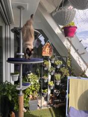 Outdoor Saison kann starten 