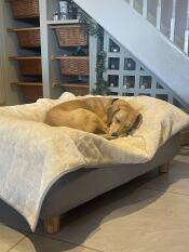 Habe es gerade fertiggestellt & es ist ein yezzzzz von alfie 😆