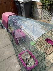 Einen violetten Eglu Go hühnerstall mit einer durchsichtigen abdeckung auf der oberseite.