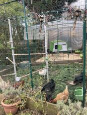Nadelholzabfälle für bodenbeläge im freien, holzspäne unter der plane