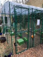 Meerschweinchenseite des auslaufs
