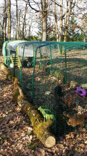 Eglu Cube mit vier erweiterungen!