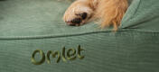 Nahaufnahme von hundepfoten auf einem bequemen und leicht zu reinigenden Omlet nackenrollen-hundebett