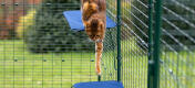 Eine Katze springt im Omlet Outdoor Katzengehege von der Katzenliege aus Stoff herunter