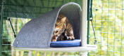 Katze spielt verstecken in der höhle zubehör für das outdoor Freestyle kratzbaumsystem
