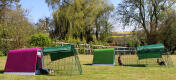 Der Eglu Go Meerschweinchenstall und der Eglu Go Kaninchenstall im Garten