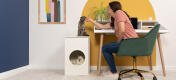 Katze sitzt in Maya katzenhaus, während die katze, die oben sitzt, von der dame gestreichelt wird