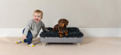 Ein Dackel liegt auf dem waschbaren Hundebett neben einem lachenden Kleinkind