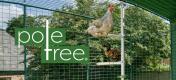 Poletree anpassbares hühnerstangensystem von Omlet