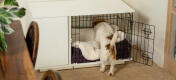 Ein Terrier steigt in die Fido Studio, die mit der Decke aus Schaffellimitat ausgestattet ist