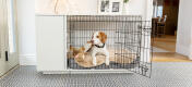Ein Hund liegt auf dem Topology Hundebett mit Memoryschaum in der Fido Studio Hundebox