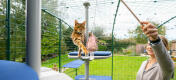 Eine Katze im Omlet Katzengehege spielt auf dem Freestyle Outdoor Kletterbaum mit einem Maya Katzenspielzeug