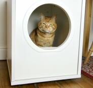 Eine orangefarbene katze sitzt in ihrem weißen häuschen