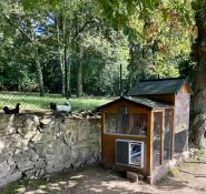 Eine graue automatische stalltür, die auf einen hühnerstall aus holz montiert ist