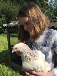 Hermionie Hen kommt nach Hause!