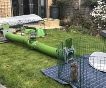Humphrey liebt seinen neuen tunnel